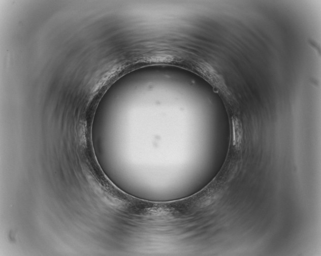 X0000102500300200808151528