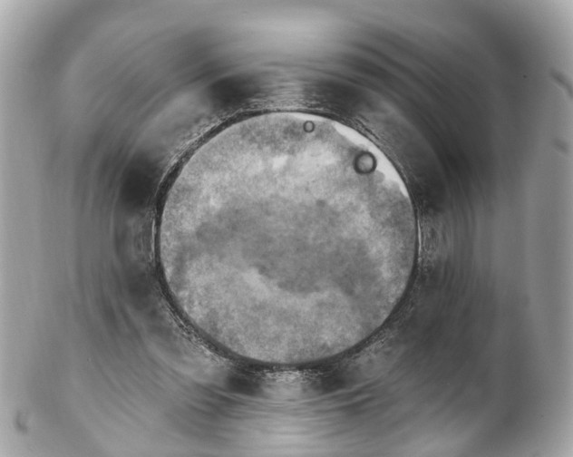 X0000102500301200808151528