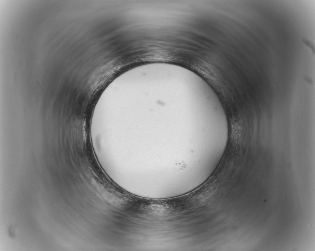 X0000102500302200808151528