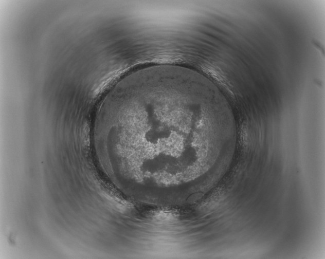 X0000102500303200808151528