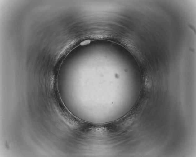 X0000102500304200808151528