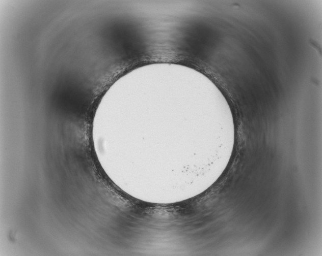 X0000102500305200808151528