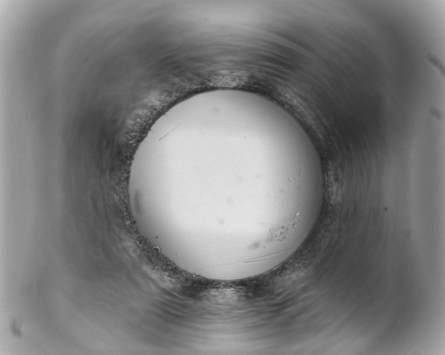 X0000102500307200808151528