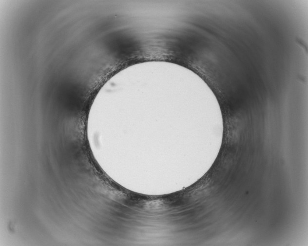 X0000102500309200808151527