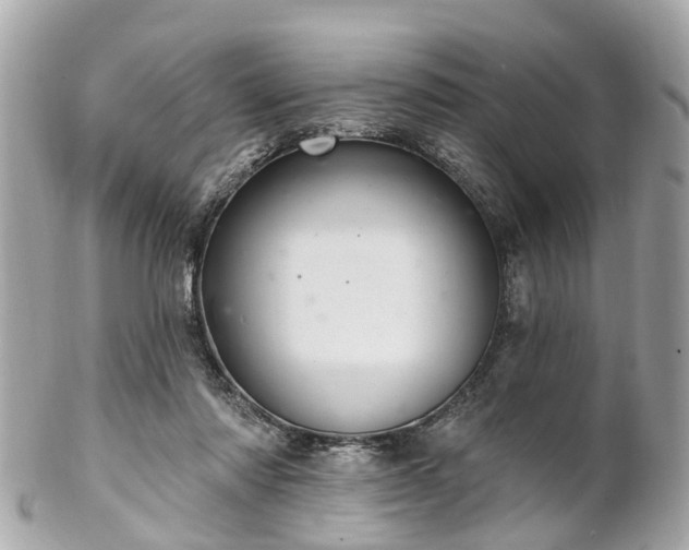 X0000102500310200808151527