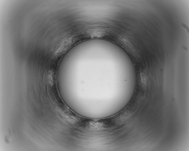 X0000102500311200808151527