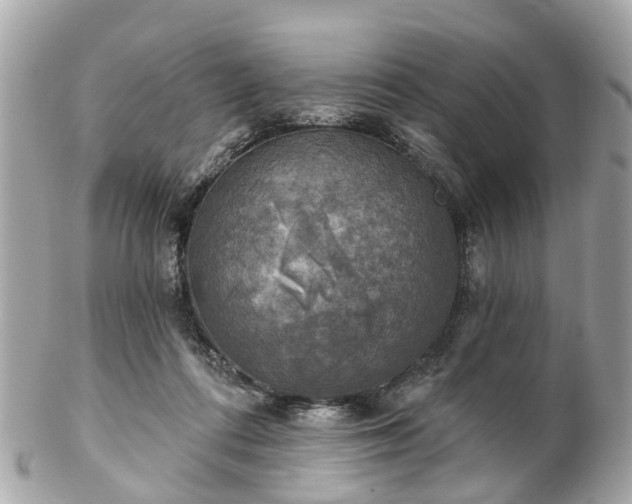 X0000102500312200808151527