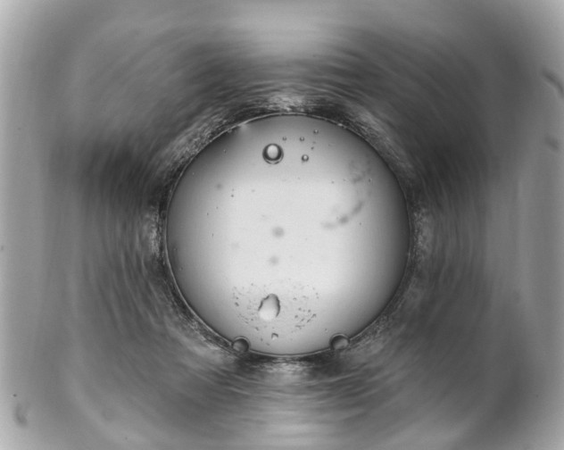 X0000102500313200808151527