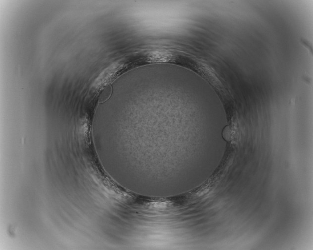 X0000102500314200808151527