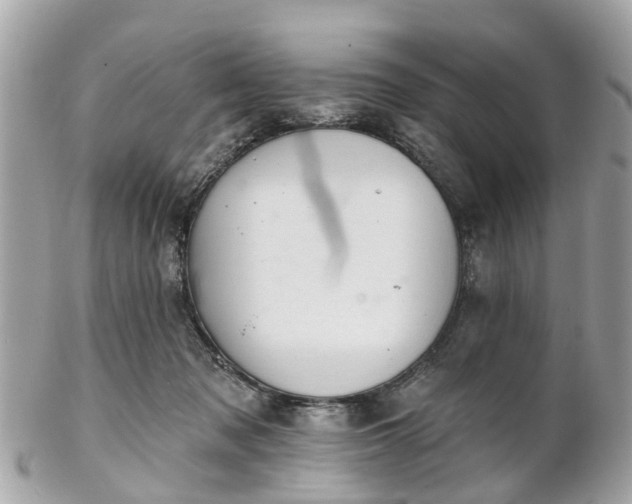 X0000102500317200808151527