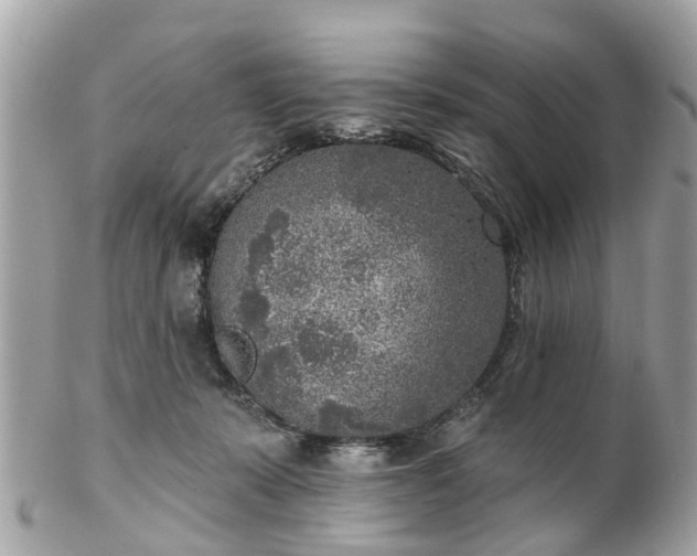 X0000102500319200808151527