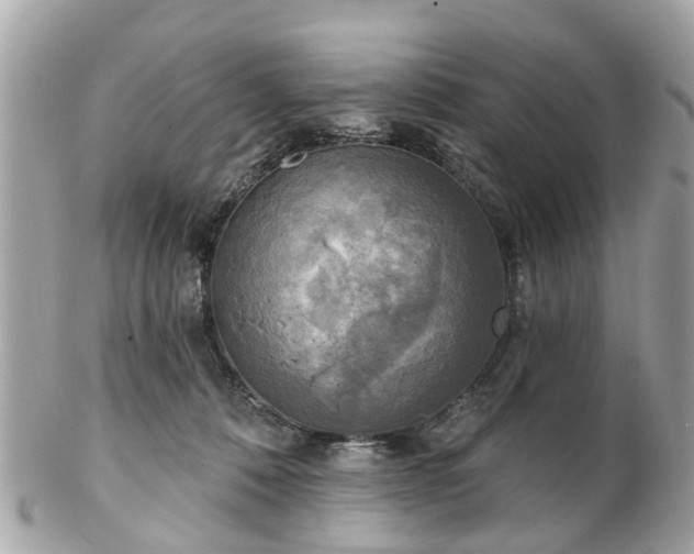 X0000102500320200808151527