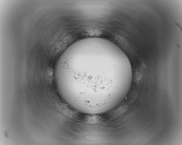 X0000102500321200808151527