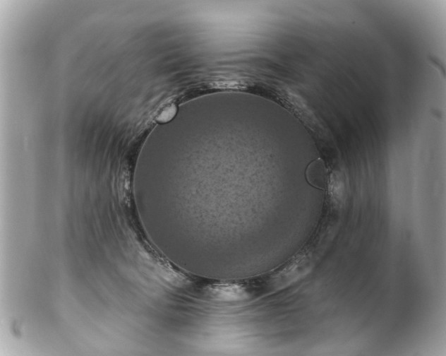 X0000102500322200808151527