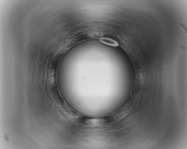 X0000102500323200808151527