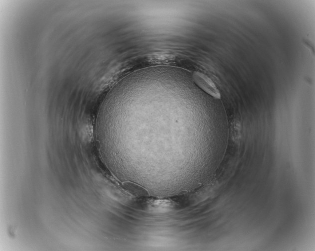 X0000102500324200808151527