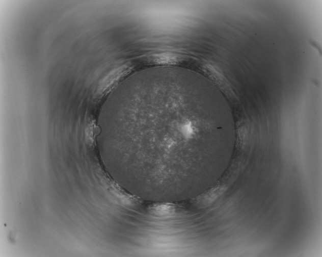 X0000102500325200808151527