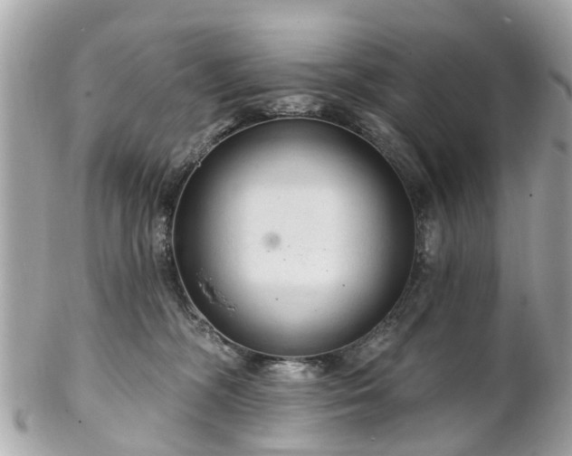 X0000102500326200808151527