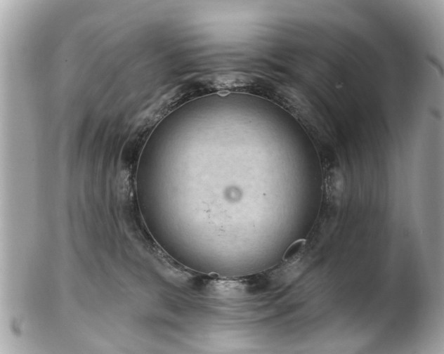 X0000102500327200808151527