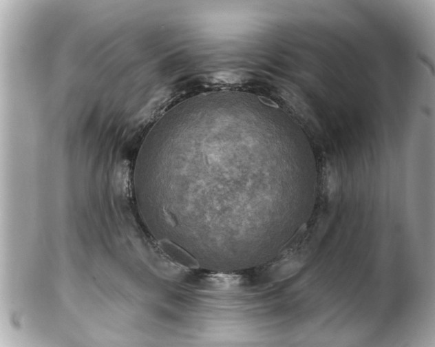 X0000102500328200808151527