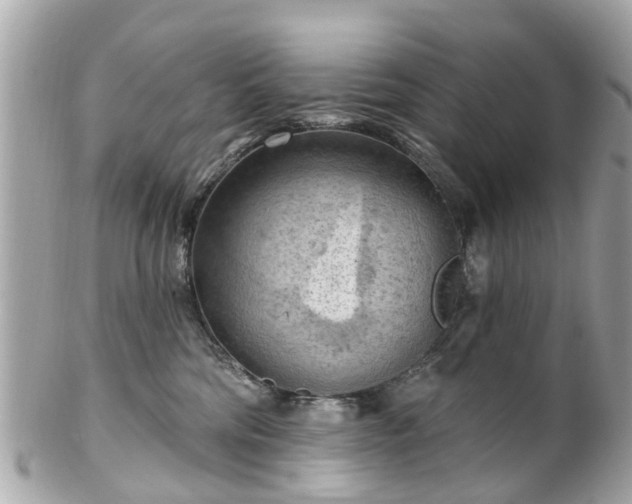 X0000102500330200808151527