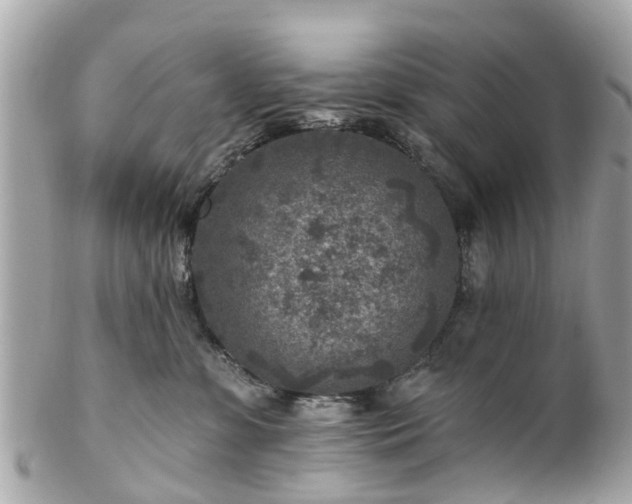 X0000102500331200808151527