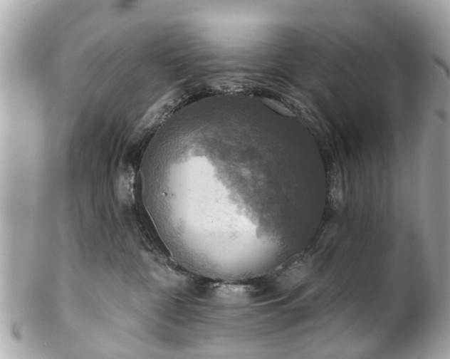 X0000102500332200808151527