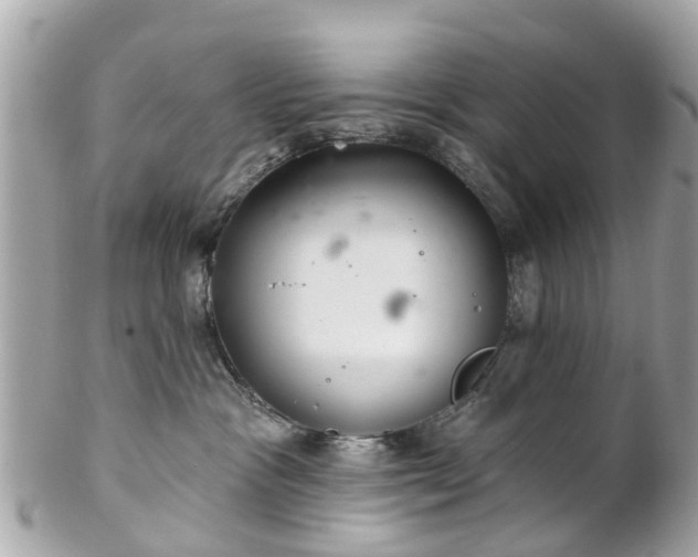 X0000102500333200808151527