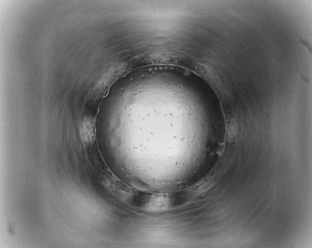 X0000102500335200808151527