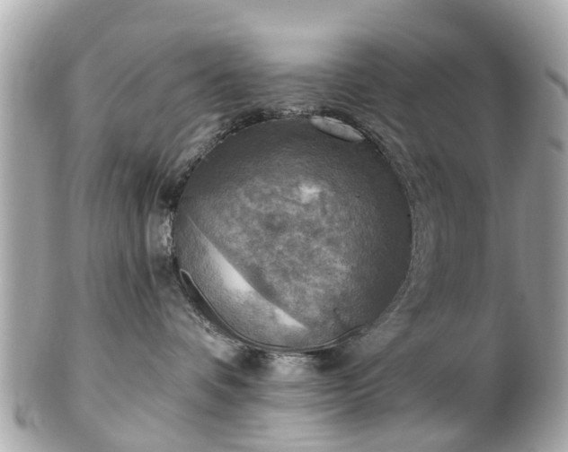 X0000102500336200808151527