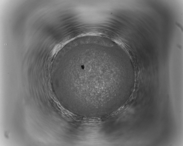 X0000102500337200808151526