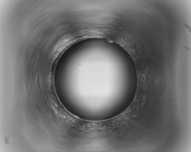 X0000102500338200808151526