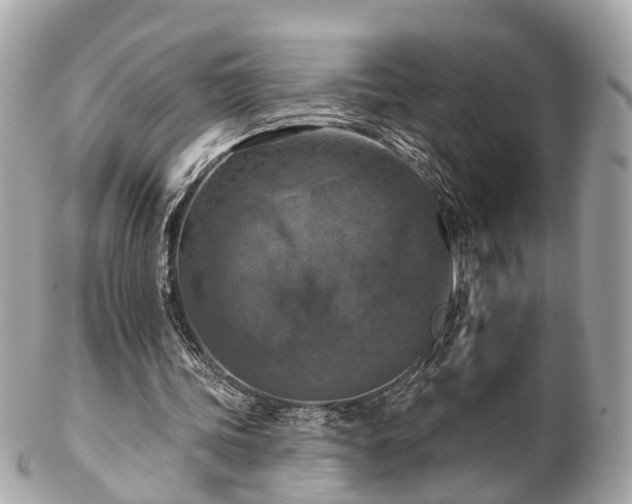 X0000102500339200808151526