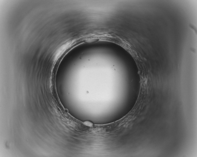 X0000102500340200808151526