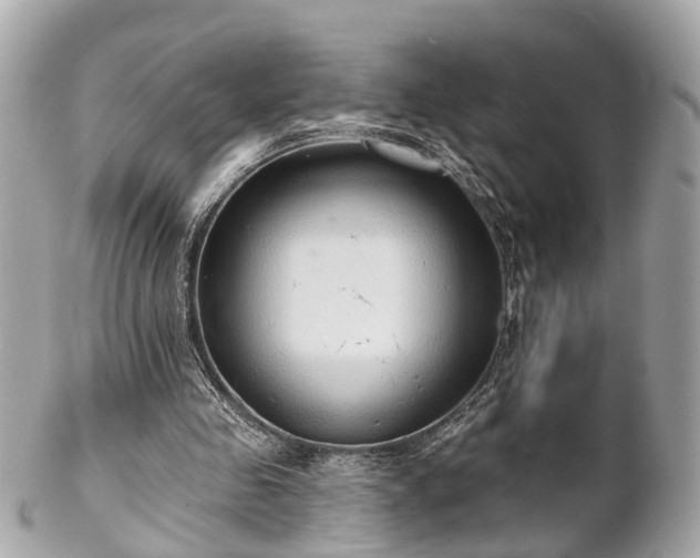 X0000102500341200808151526