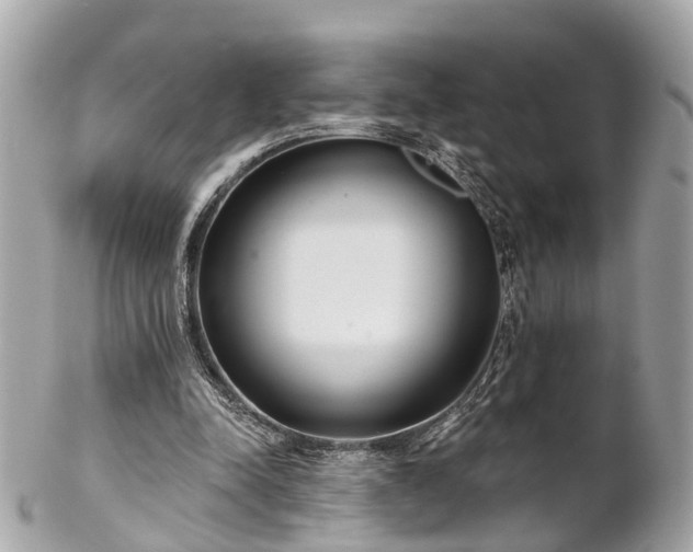 X0000102500342200808151526