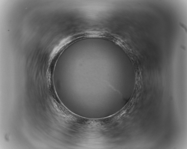 X0000102500343200808151526