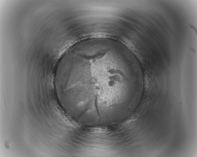 X0000102500347200808151527