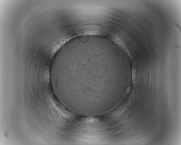 X0000102500348200808151527