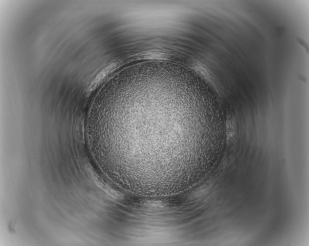 X0000102500349200808151527