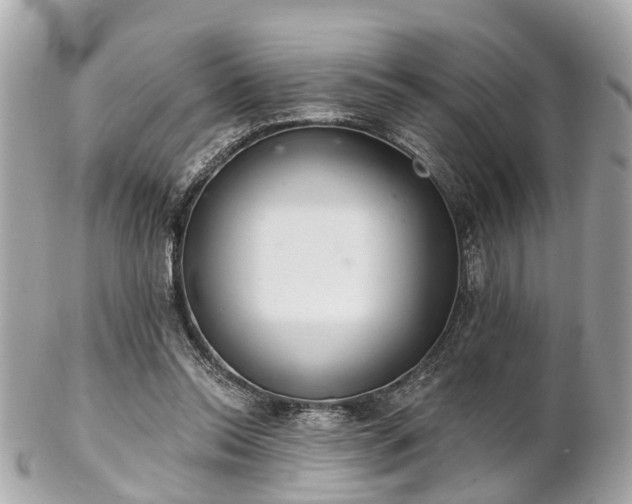 X0000102500350200808151527