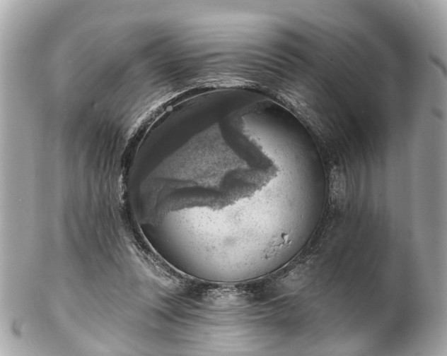 X0000102500351200808151527