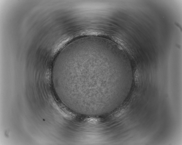 X0000102500352200808151527