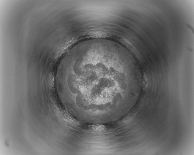 X0000102500355200808151527