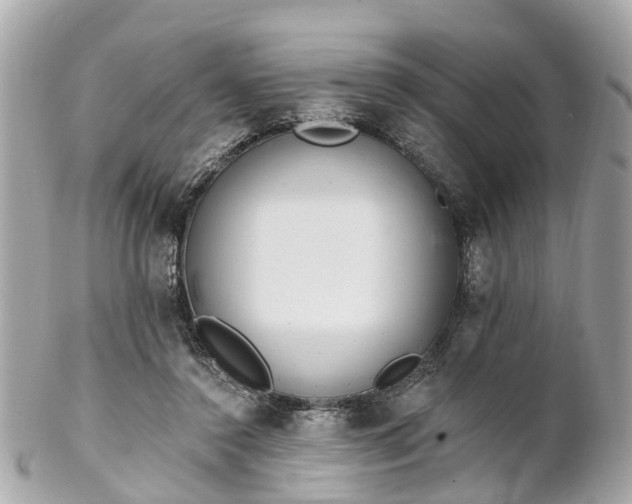 X0000102500356200808151527