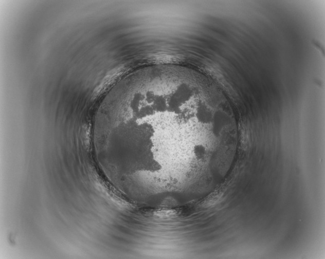 X0000102500357200808151527