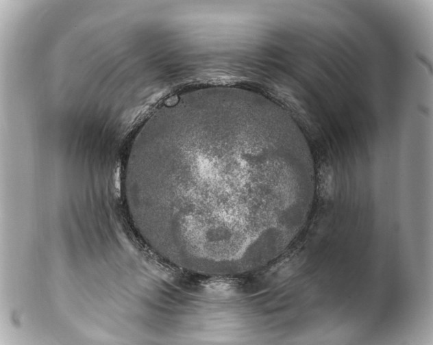 X0000102500358200808151527