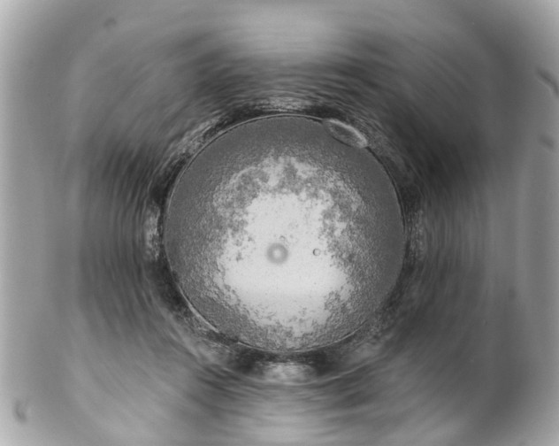 X0000102500360200808151527