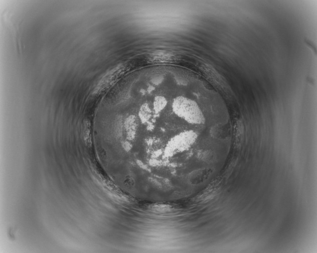 X0000102500361200808151527