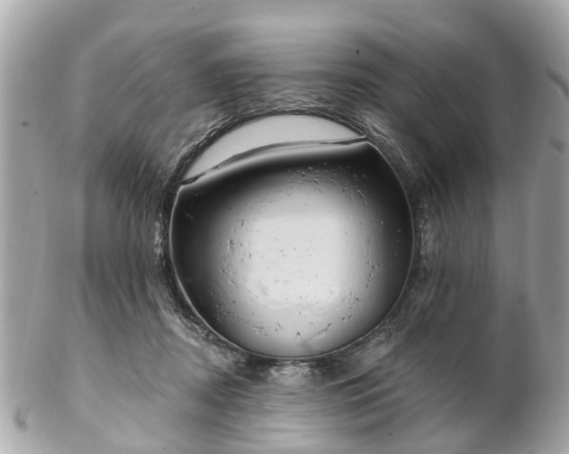 X0000102500362200808151527